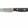 Richardson Sheffield Velocity 123BFCSB3117 Paring Knife, 10.5cm -KNIVESANDTOOLS Sales RFR123BFCSB3117 01 richardsonsheffield