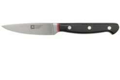 Richardson Sheffield Velocity 123BFCSB3117 Paring Knife, 10.5cm