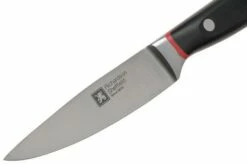 Richardson Sheffield Velocity 123BFCSB3117 Paring Knife, 10.5cm -KNIVESANDTOOLS Sales RFR123BFCSB3117 03 richardsonsheffield