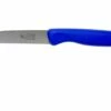 Robert Herder Straight Classic Peeling Knife Carbon, Blue, 8.5 Cm -KNIVESANDTOOLS Sales RH135532560 01 robert herder