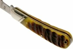 Rough Ryder Ram’s Horn Bone Cotton Sampler RR1594 Pocket Knife -KNIVESANDTOOLS Sales RY1594 05 rough ryder