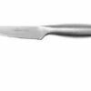 Lion Sabatier Fuso Paring Knife 10 Cm, 746182