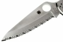 Spyderco C10 Endura 4, Spyder Edge -KNIVESANDTOOLS Sales SP C10S 02 spyderco c10 endura d2 1