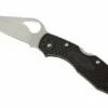 Spyderco Byrd Meadowlark FRN, Version 2, Plain Edge -KNIVESANDTOOLS Sales SPBY04FRN 01 spyderco byrd meadowlark 2 by04pbk2 d1