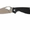 Spyderco Byrd Raven 2 BY08GP2 Pocket Knife -KNIVESANDTOOLS Sales SPBY08GP2 01 spyderco byrd raven 2 spby08gp2 01
