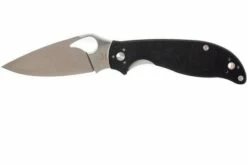 Spyderco Byrd Raven 2 BY08GP2 Pocket Knife