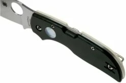 Spyderco Chaparral Sun And Moon C152GSMP Pocket Knife -KNIVESANDTOOLS Sales SPC152GSMP 07 spyderco