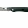 Spyderco Roadie C189BK Pocket Knife -KNIVESANDTOOLS Sales SPC189PBK 01 spyderco