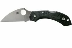 Spyderco Dragonfly 2 Wharncliffe C28FPWCBK2 Pocket Knife