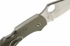 Spyderco Dragonfly Foliage Green G10 C28GPFG Pocket Knife -KNIVESANDTOOLS Sales SPC28GPFG 04 spyderco dragonfly2 foliage green spc28gpfg d4