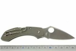 Spyderco Dragonfly Foliage Green G10 C28GPFG Pocket Knife -KNIVESANDTOOLS Sales SPC28GPFG 05 spyderco dragonfly2 foliage green spc28gpfg d5