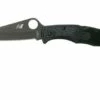 Spyderco Pacific Salt 2 Black C91PBBK2 Pocket Knife