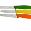 Victorinox SwissClassic Vegetable Knife Set, Set Of 3, 6.7116.31G 2 Victorinox SwissClassic Vegetable Knife Set, Set Of 3, 6.7116.31G -KNIVESANDTOOLS Sales VT6 7116 31G 01 victorinox vt6 7116 31g 01 1