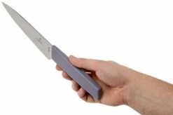 Victorinox Swiss Modern Paring Knife 15 Cm, Lavender-lilac -KNIVESANDTOOLS Sales VT6 9016 1521B 06 victorinox