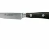 Wüsthof Ikon Paring Knife 9 Cm, 1010530409 2 Wüsthof Ikon Paring Knife 9 Cm, 1010530409 -KNIVESANDTOOLS Sales WU1010530409 01 wusthof ikon v202010