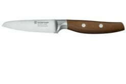Wüsthof Epicure Paring Knife 9 Cm, 1010600409 -KNIVESANDTOOLS Sales WU1010600409 01 wusthof stockfoto v2