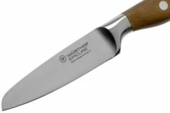 Wüsthof Epicure Paring Knife 9 Cm, 1010600409 -KNIVESANDTOOLS Sales WU1010600409 03 wusthof v202102