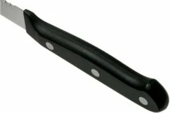 Wüsthof Gourmet Tomato Knife 12 Cm, 1025048012 -KNIVESANDTOOLS Sales WU1025048012 04 wusthof v202101