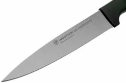 Wüsthof Silverpoint Carving Knife 16 Cm, 1025148816 -KNIVESANDTOOLS Sales WU1025148816 03 wusthof v202101