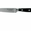 Wüsthof Classic Paring Knife 10 Cm, 1040100410