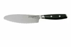 Yaxell Tsuchimon 36726 Panini Knife 15.5 Cm