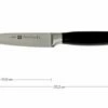 Zwilling 30070-101 Four Star II Peeler/Garnishing Knife