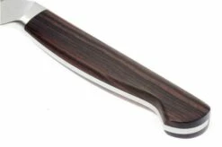 Zwilling J.A. Henckels Twin 1731 Paring Knife 10 Cm (4") -KNIVESANDTOOLS Sales ZW31860 101 03 zwilling twin1731 31860 101 garneermes d3