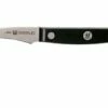 Zwilling Gourmet Turning Knife 6 Cm, 36110-061