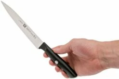 Zwilling Life Carving Knife, 38580-161-0 -KNIVESANDTOOLS Sales ZW38580 161 0 06 zwilling life zw38580 161 0 06 1