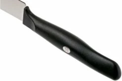 Zwilling Life Carving Knife 20 Cm, 38580-201-0 -KNIVESANDTOOLS Sales ZW38580 201 0 04 zwilling zw38580 201 0 04