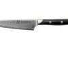 Zwilling Diplôme Paring Knife 12 Cm, 54202-121 -KNIVESANDTOOLS Sales ZW54202 121 01 zwilling diplome zw54202 121 01